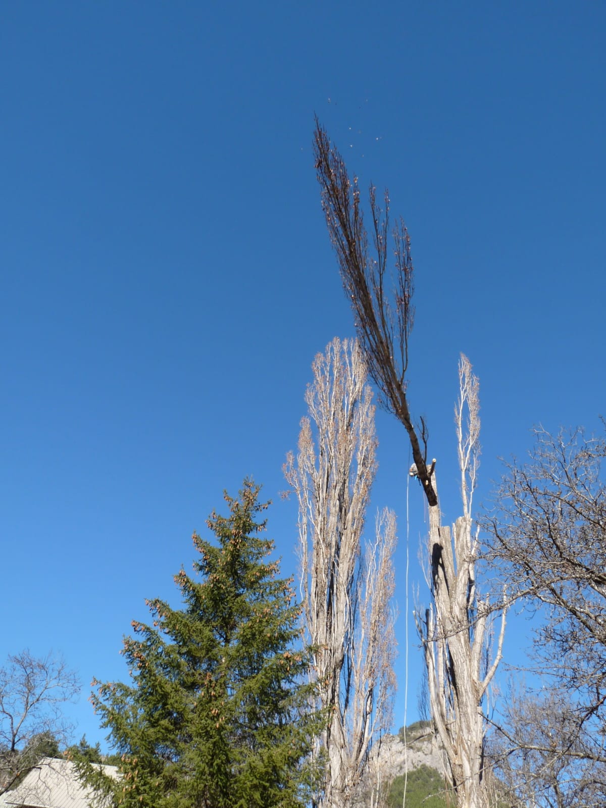IMG-20240808-WA0050
