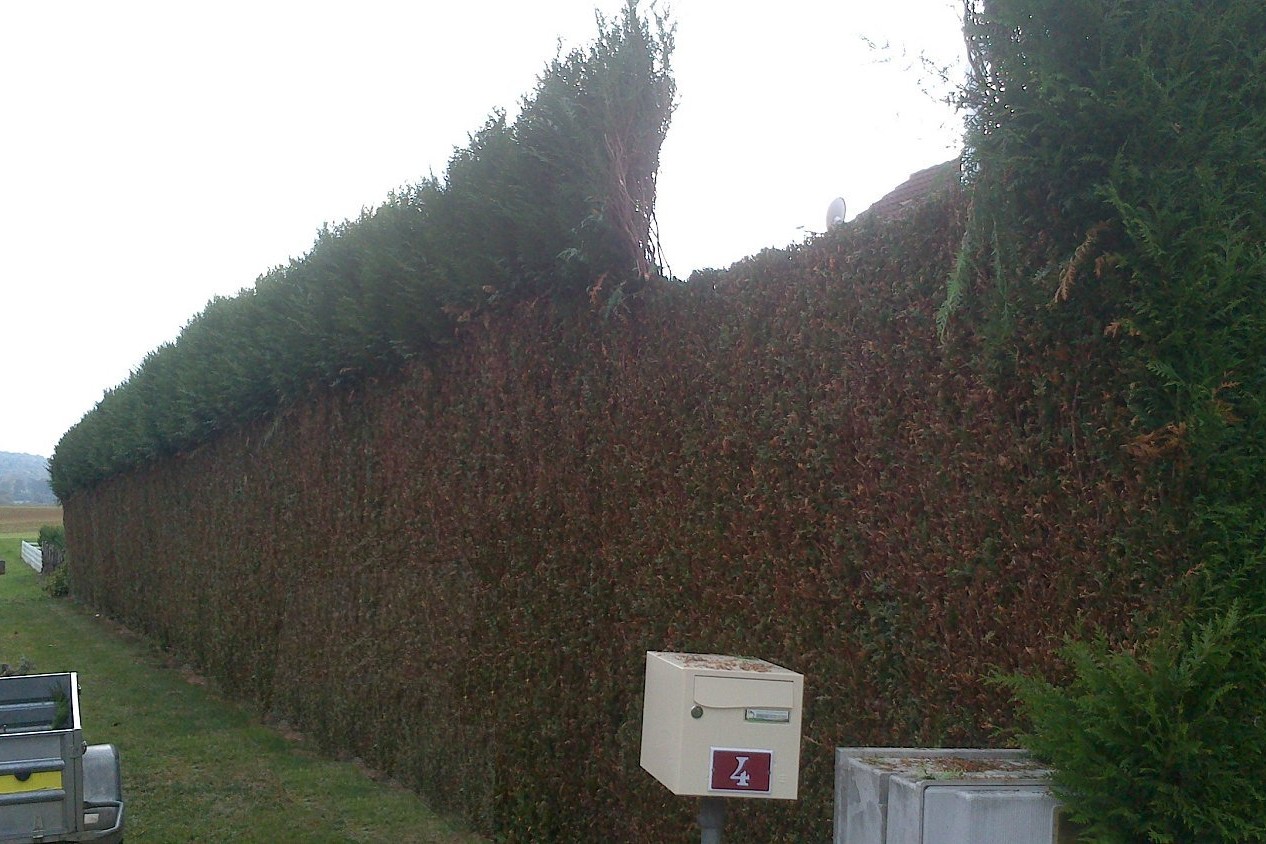 IMG-20240808-WA0054