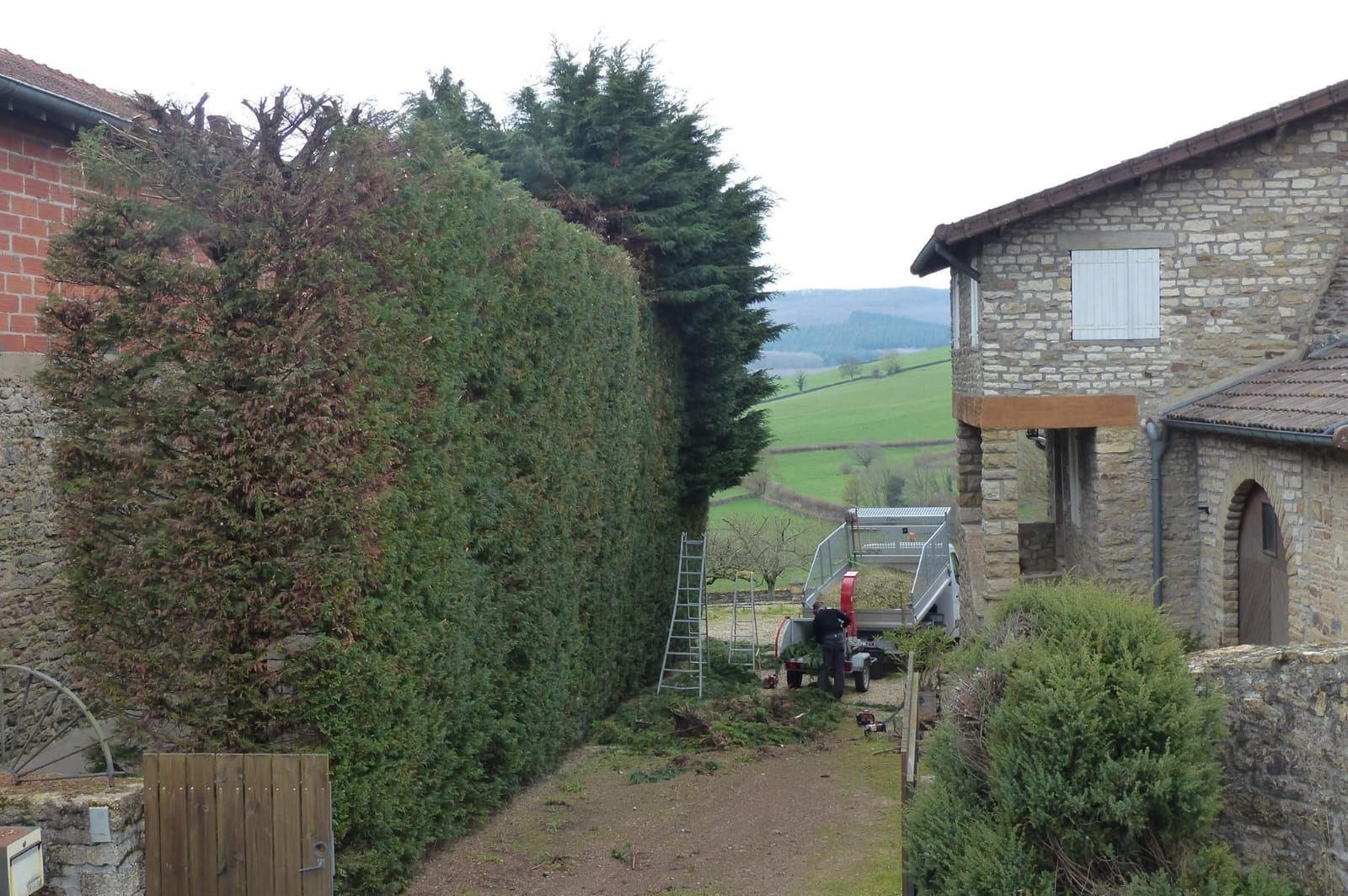 IMG-20240808-WA0056
