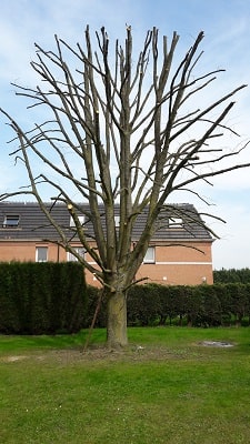 IMG-20240808-WA0057