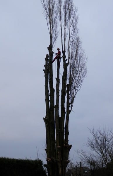 IMG-20240808-WA0060