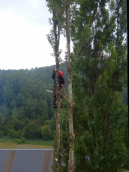 IMG-20240808-WA0061