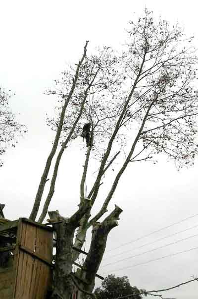 IMG-20240808-WA0062